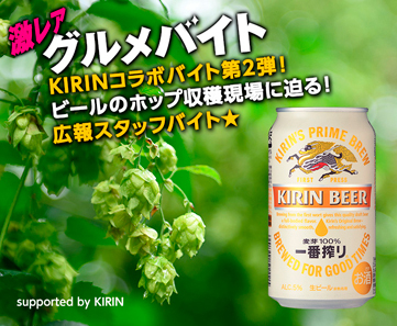 Kirinコラボバイト第2弾 ビールのホップ収穫現場に迫る 広報スタッフバイト 情報提供 タウンワーク 概要 Deview デビュー