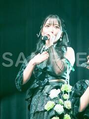 fW^ʐ^WuDOLL TOUR 2023 `Story` TOKYO FINAL LIVE PHOTO BOOKvioricon MEj
