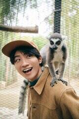 �u�ؑ��@��ʐ^�W(��)�v(�����j���[�X�ʐM�Њ�)