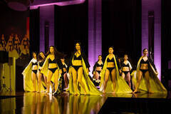 �u�x�X�g�I�u�~�X�v�É����̖͗l