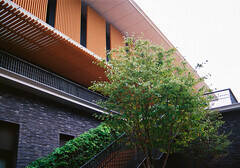 ���㈤���B�e�����J�b�g