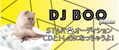 CDWPbgɈLowDJ BOO presents STARɂ񂱃I[fBV `CDƃgJɂȂႤI`xJ