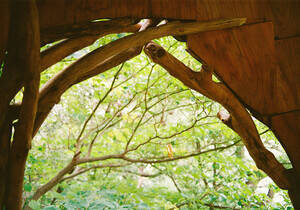 見上愛が撮影したカット