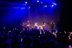 VGbg炨l`̃|[YŌꂽDollElements
