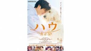 �f��w�n�E�x�i8��19���J�j