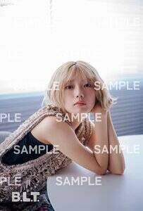 �uB.L.T.2026�N4�����v�ʍ��t�^�F���g�ė� �i�N��46�j �@���ʒ��r�b�O�|�X�^�[