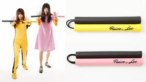 XݎƕEXc[RBk`NfUC͉FEsN̂QFWJ@iBeFRÁj