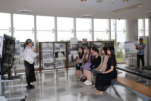 �~�X���j�o�[�V�e�B���a�w�K�̗l�q