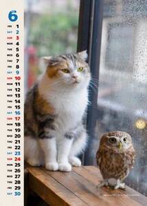 utNvƁu}v̎ʐ^WweɂȂLi}jƎqLɂȂ肽tNEitNjB`tNƃ}̎qēL`xvgT[rXJn