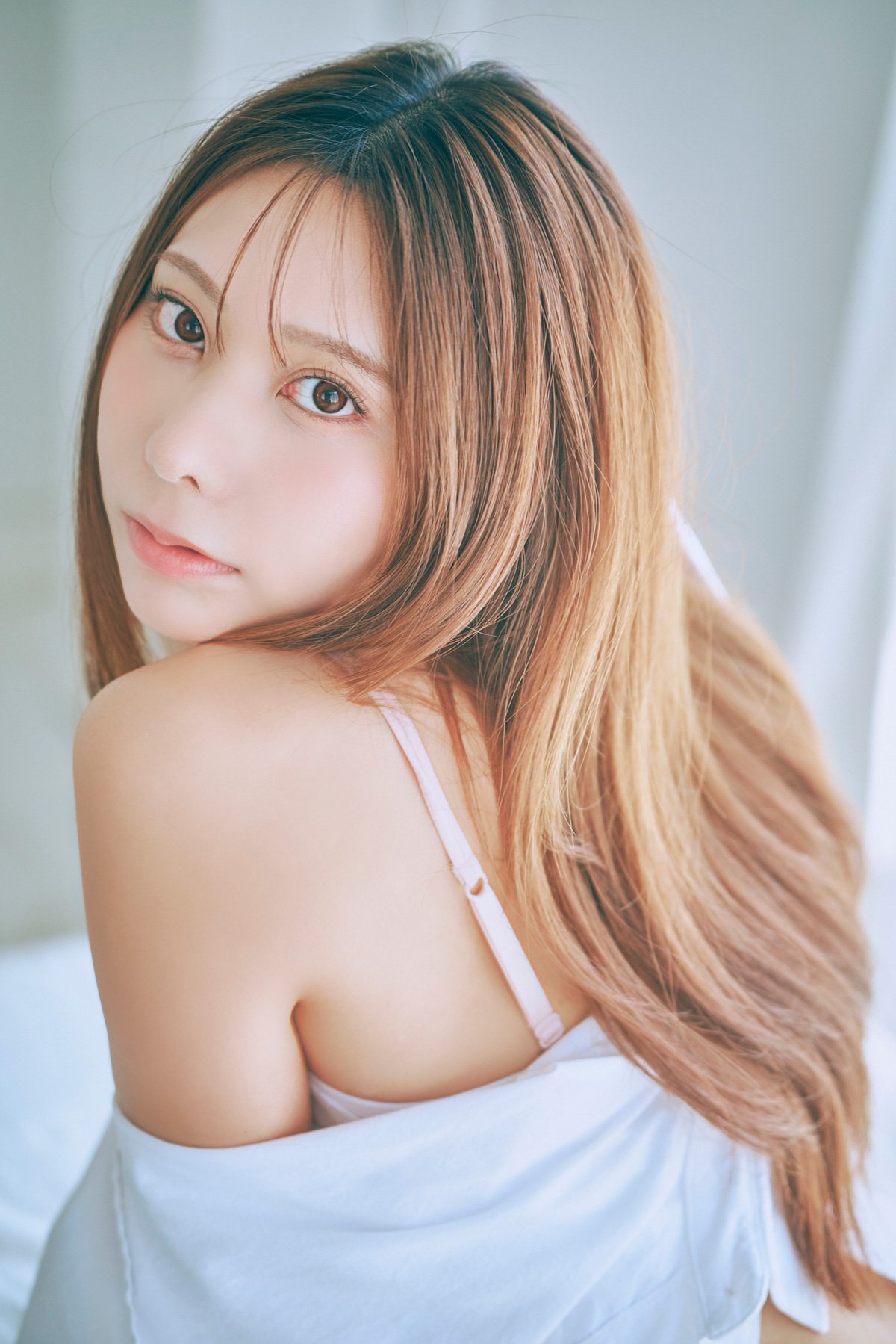 NOMA(C)������/�T��FLASH �ʐ^�����{���u