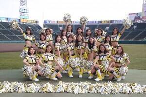 _^CK[XItBVt@T[rXo[wTigersGirlsx2020Nxo[I[fBV