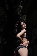 �f�W�^������ʐ^�W �L�c���i�ʐ^�W�wMoonlight Shadow�x�i���j�u�b�N�X�@�B�e�F�c�����O�Y�j