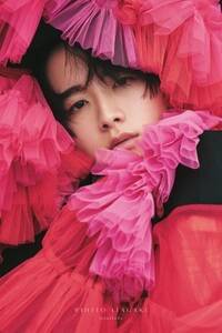 �w�_�����l 20 th Anniversary Photobook Interlude�x�y�V�u�b�N�X����� �\���iC�jSDP