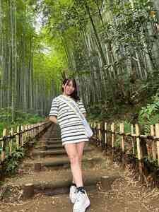 �~�X�E�v���l�b�g�E�W���p��2026 ��t��\�E�{�{���₩