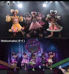 [̃J@[AChB^CNekomataB