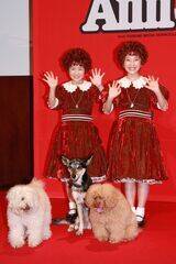 �۔����H�i�~���[�W�J���w�A�j�[�x���씭�\��ɓo�d�����A�j�[���i������j���R�ĉi�A�q�c�ԁA�T���f�B�[���́i������j�ƍN�A�܂�A�������iC�jDeview