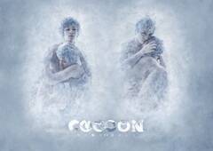 wCOCOON Ȃ萯ЂƂxL[rWA