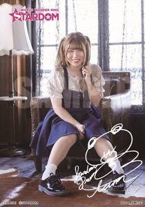 ʔ̌V|[g[gF삽ށiCjBUSHIiCjSTARDOM