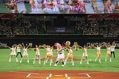 2025�N�̊����̗l�q