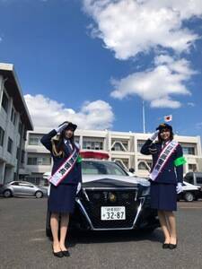 򕌌_x@̈x@𖱂߂SKE48̑cʉāijƖkډ؁iEjBibj2020 Zest,Inc.