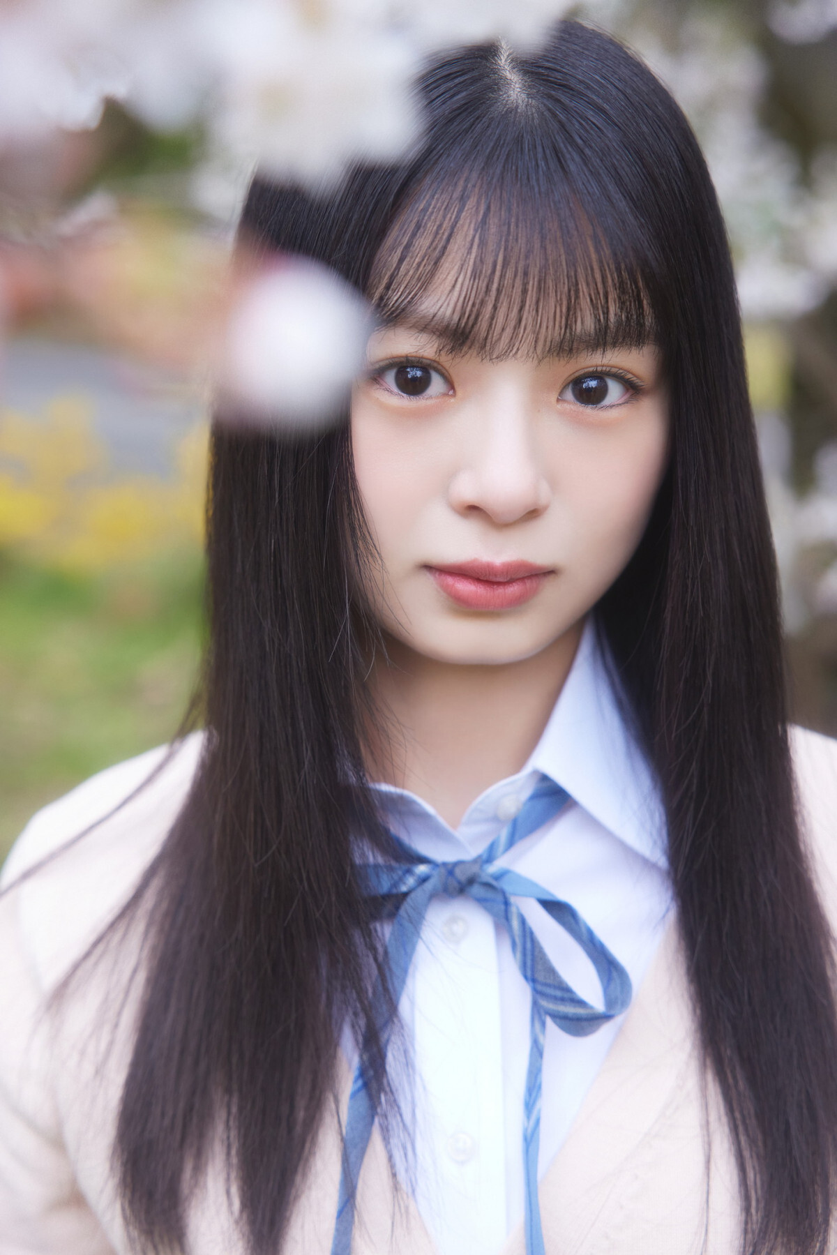 N46Vo[̎lEFЂ