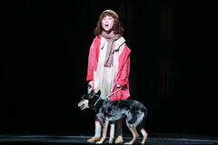 �۔����H�i�~���[�W�J���w�A�j�[�x���iC�jDeview