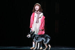 �۔����H�i�~���[�W�J���w�A�j�[�x���iC�jDeview