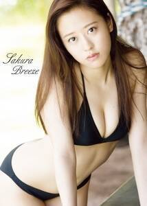 cʐ^WwSakura Breezex
