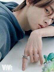 �wViVi�x4�����i�u�k�Њ��j�ɓo�ꂷ��l��H�ȁiROIROM�j