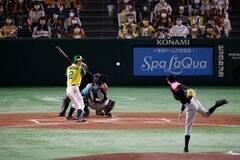 wACTORSLEAGUE in Baseball 2022x̖͗l