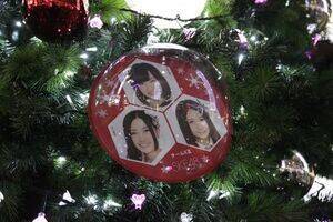 o[̊ʐ^̃I[igB`[KII
