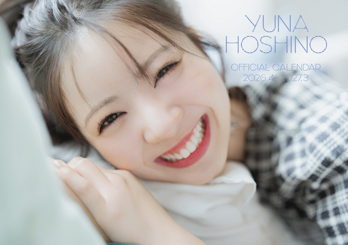 �w���T���ރJ�����_�[2026.4-2027.3�x�\���i�ʏ�Ձj�iC�jSDP