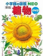 wwق̐}NEOkVŁlA@DVDx