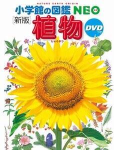 wwق̐}NEOkVŁlA@DVDx