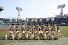 _^CK[XItBVt@T[rXo[wTigersGirlsx2020Nxo[I[fBV