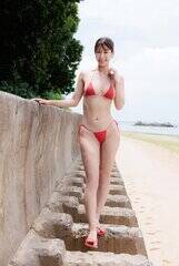 �J�ɂ̍ŐV�C���[�WDVD�w�A�W���[���x�i�|���[�j