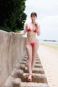 �J�ɂ̍ŐV�C���[�WDVD�w�A�W���[���x�i�|���[�j