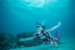 wLa SCUBA(EXN[o)xVol.11(531)@Be/ (C)LaSCUBA