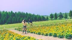 2006Nh}V[AKB48 56thVOuTXeiuvMViCjAKS^LOR[h