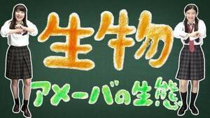 u A[o̐ԁv