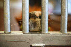 ���㈤���B�e�����J�b�g