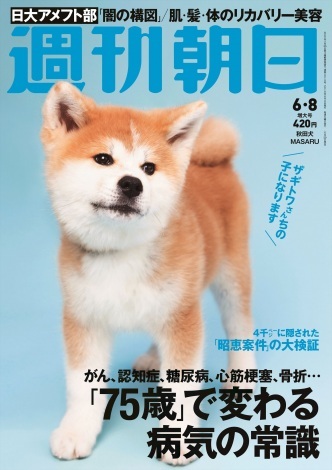 ザギトワ選手に贈られた秋田犬 Masaru 週刊朝日 表紙に登場 犬の表紙は96年の歴史で初 ニュース Deview デビュー