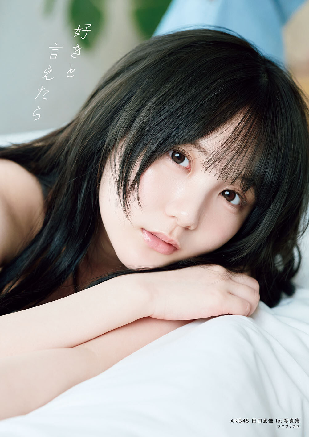 AKB48c1stʐ^WwDƌ^Zulbgŕ\