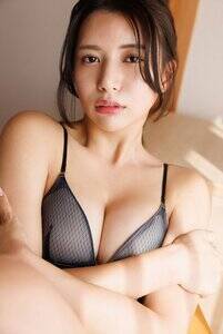 ���n���S���t�@�[�X�g�ʐ^�W�w�m�[�K�[�h�x�i�����Ё^�B�e�F���c���j