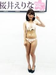ŐVC[WDVDw炢xiCR~jP[VYj̔LOCxgsȂ䂦ȁB