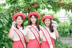 ~XڃReXg2019 QҕW