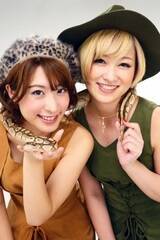 2015NgEvK[E󍁔炳ijƐqiEjB