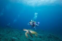 wLa SCUBA(EXN[o)xVol.11(531)@Be/ (C)LaSCUBA