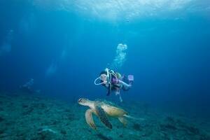 wLa SCUBA(EXN[o)xVol.11(531)@Be/ (C)LaSCUBA