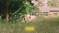 2028Nh}V[AKB48 56thVOuTXeiuvMViCjAKS^LOR[h
